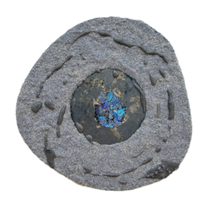 『仮晶-黒子狐』