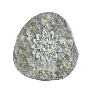 『蛋白石-トケイソウ2』