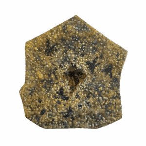 『琥珀-スズメバチ』