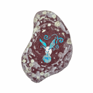 『仮晶-モスモス』